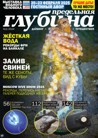 Обложка книги «Предельная Глубина №2/2024»