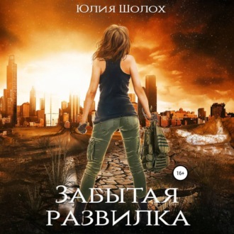 Обложка книги «Забытая развилка»