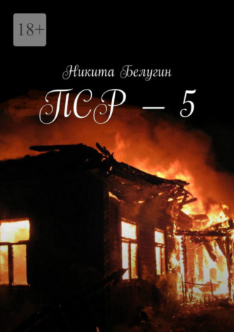 Никита Белугин. ПСР – 5