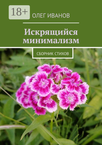 Обложка книги «Искрящийся минимализм. Сборник стихов»