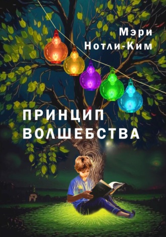 Обложка книги «Принцип волшебства»
