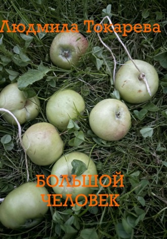 Обложка книги «Большой человек»