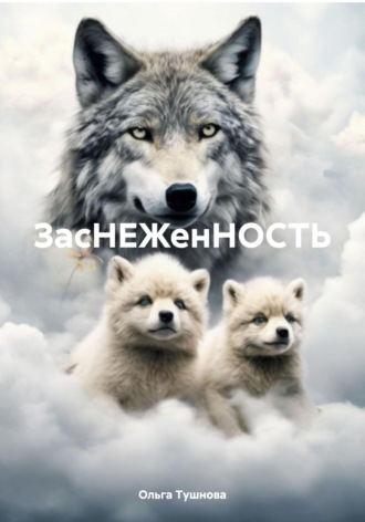 Обложка книги «ЗасНЕЖенНОСТЬ»