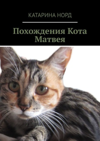 Катарина Норд. Похождения Кота Матвея