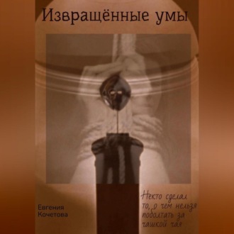 Обложка книги «Извращённые умы»