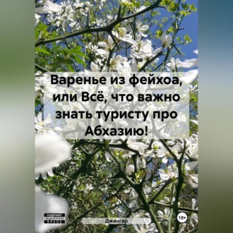 Обложка книги «Варенье из фейхоа, или Всё, что важно знать туристу про Абхазию!»