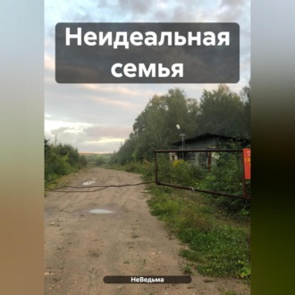 Обложка книги «Неидеальная семья»