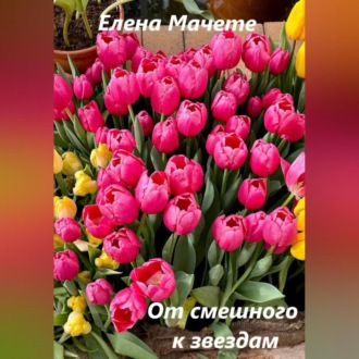 Обложка книги «От смешного к звездам»