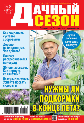 Обложка книги «Дачный сезон №08/2024»