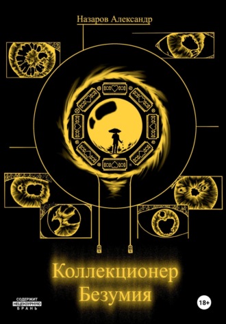 Обложка книги «Коллекционер безумия»