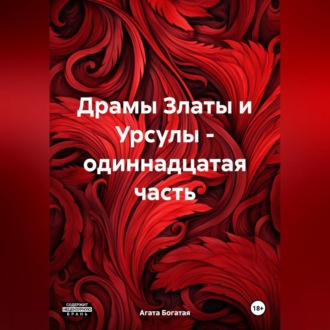 Обложка книги «Драмы Златы и Урсулы – одиннадцатая часть»