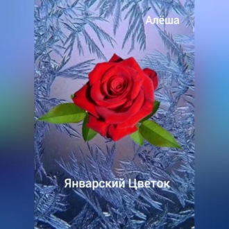 Обложка книги «Январский цветок»