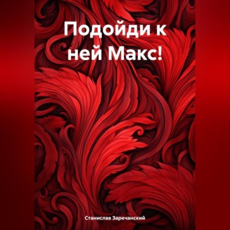 Обложка книги «Подойди к ней Макс!»