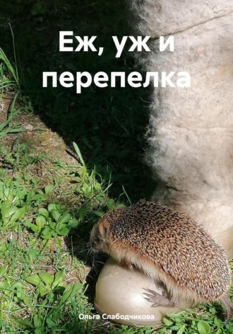 Обложка книги «Еж, уж и перепелка»