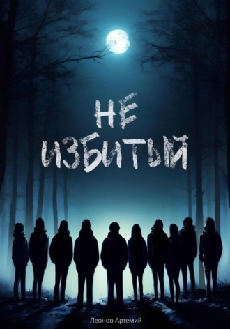 Обложка книги «Не избитый»