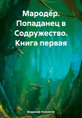 Владимир Поселягин. Мародёр. Попаданец в Содружество. Книга первая