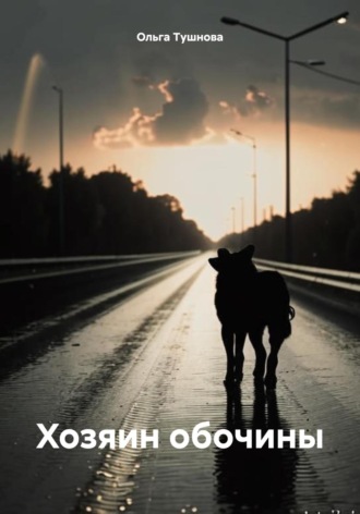 Обложка книги «Хозяин обочины»