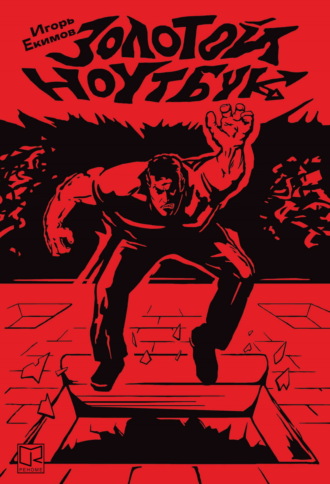 Обложка книги «Золотой ноутбук»