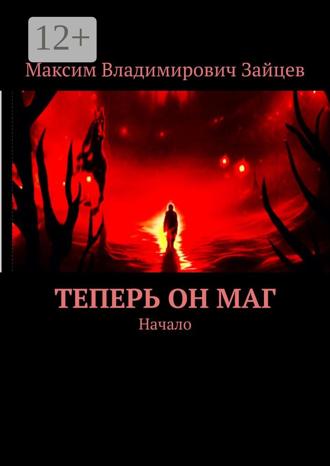 Обложка книги «Теперь он маг. Начало»