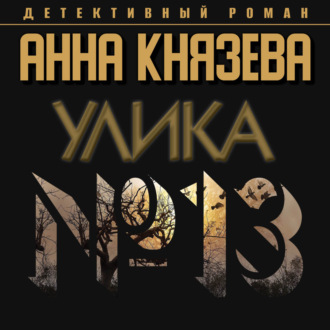 Обложка книги «Улика № 13»