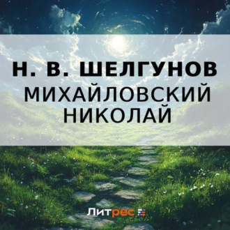 Обложка книги «Н. В. Шелгунов»