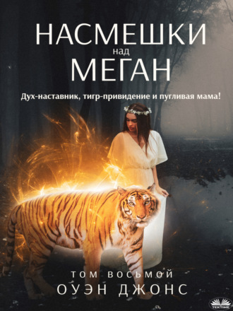 Обложка книги «Насмешки над Меган»