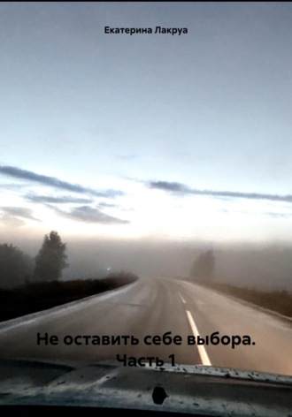 Не оставить себе выбора. Часть 1. Екатерина Лакруа