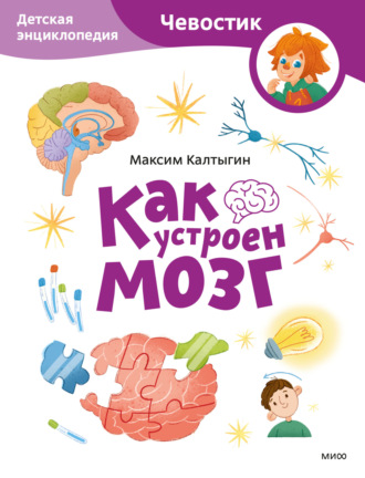 Обложка книги «Как устроен мозг. Детская энциклопедия»