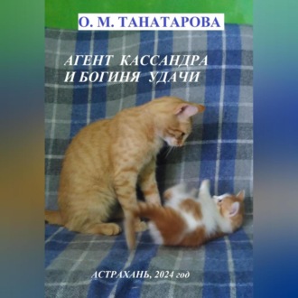 Обложка книги «Агент Кассандра и Богиня Удачи»