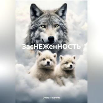 Обложка книги «ЗасНЕЖенНОСТЬ»