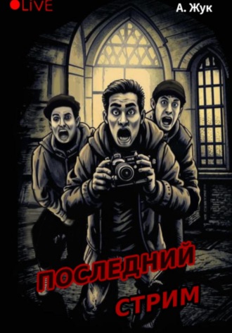 Обложка книги «Последний стрим»