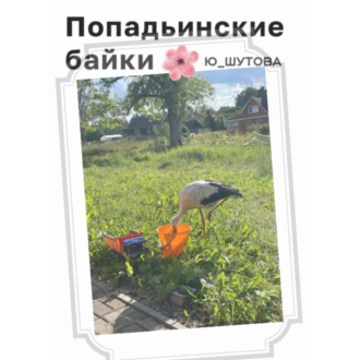 Обложка книги «Попадьинские байки»