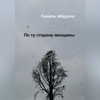 Обложка книги «По ту сторону женщины»