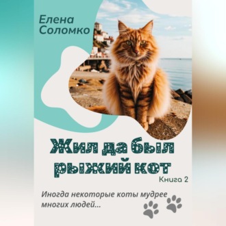 Обложка книги «Жил да был рыжий кот»