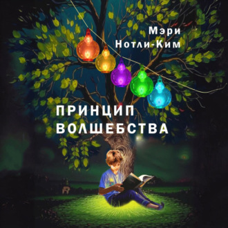 Обложка книги «Принцип Волшебства»