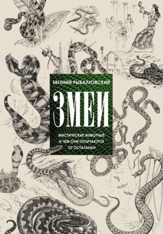 Обложка книги «Змеи. Мистические животные и чем они отличаются от остальных»