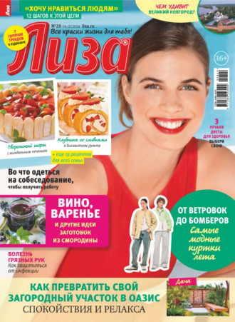 Обложка книги «Журнал «Лиза» №28/2024»