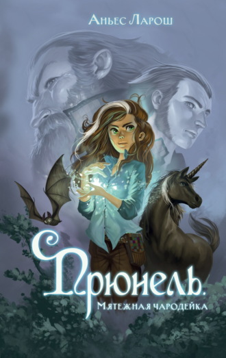 Обложка книги «Прюнель. Мятежная чародейка»
