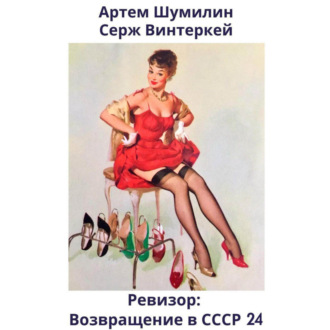Обложка книги «Ревизор: возвращение в СССР 24»