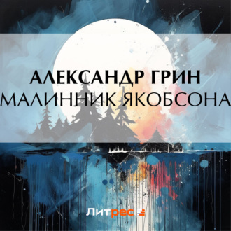 Обложка книги «Малинник Якобсона»