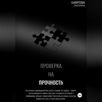 Обложка книги «Проверка на прочность»