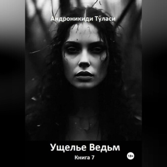 Обложка книги «Ущелье Ведьм. Книга 7»