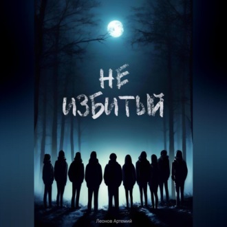 Обложка книги «Не избитый»