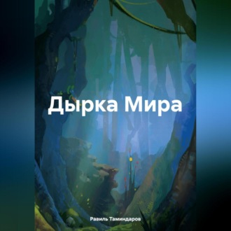 Обложка книги «Дырка Мира»