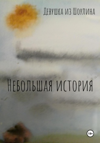 Обложка книги «Небольшая история»
