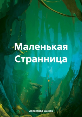Обложка книги «Маленькая Странница»