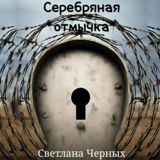 Обложка книги «Серебряная отмычка»