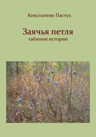 Обложка книги «Заячья петля»