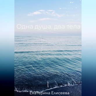 Обложка книги «Одна душа, два тела»