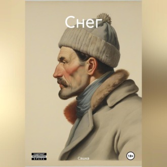 Обложка книги «Снег»